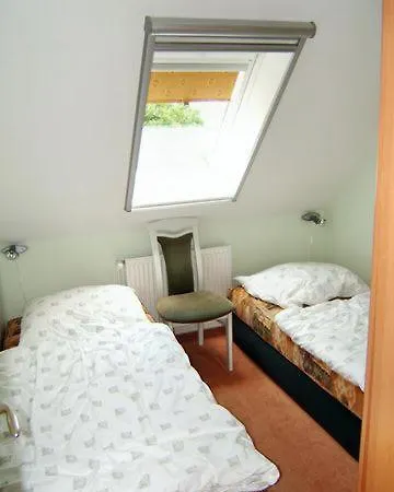 Seesternchen Am Schwarzen Busch